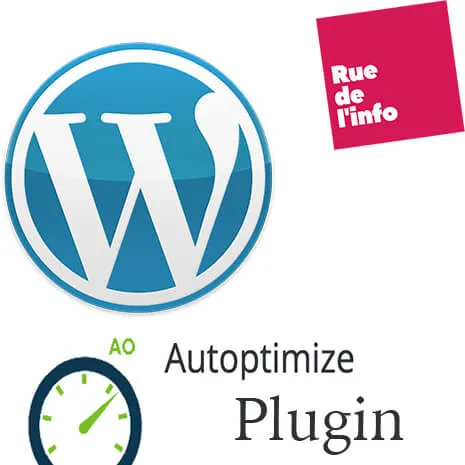 WordPress plugin Autoptimize régler la limite du cache