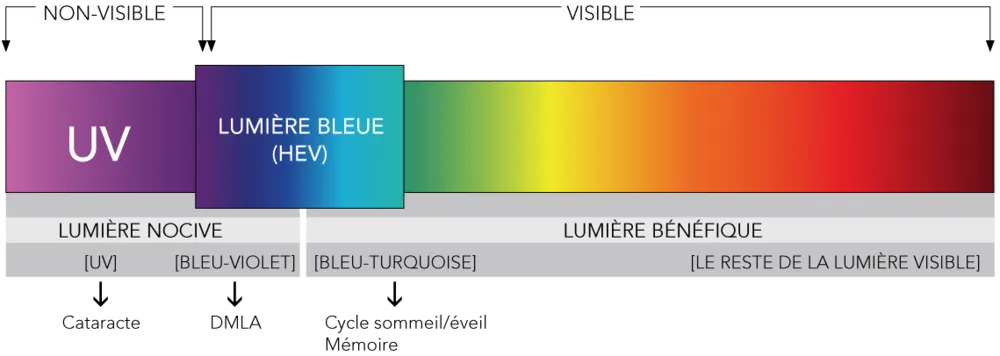 lumière bleue – Rue de l’info